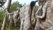 Carne salada .webp