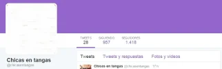 twitter1.webp
