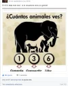 Sin título.webp