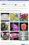 erroer facebookkk.webp