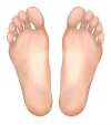 depositphotos_10608909-stock-illustration-healthy-feet.webp