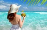 coctel 3.webp