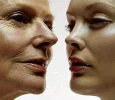 Causas-del-envejecimiento.webp