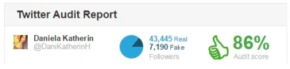 Twitter Audit.webp Twitter Audit.webp