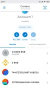 Screenshot_2021-05-12-23-13-56-084_io.metamask.webp