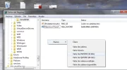 5.webp