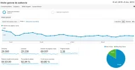 Visitantes diarios.webp Visitantes diarios.webp