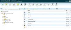 subimos zip y extraemos en subdominio.webp