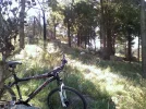 bici.webp