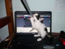 wxniug.webp