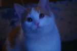 15702_1194906807498_6825652_n.webp