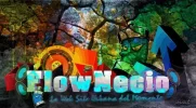 Flownecio.webp