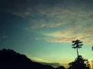 560736021.webp
