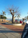 100_8943.webp