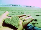 amore.webp