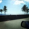 424977_10150538412515194_989629197_n.webp