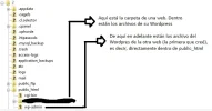 liowebs.webp