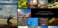 gallerythemefree.webp