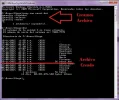tut2.webp