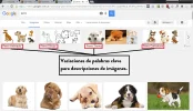 atributo alt.webp