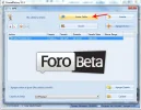 12.webp