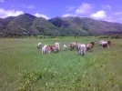Tierra amada.webp