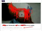 muiestr.webp muiestr.webp