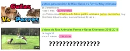 Imagen 11.webp