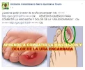 prueba bot multiposter.webp