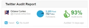 Twitter-Audit.webp Twitter-Audit.webp