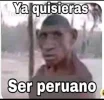 FB_IMG_1623899444909.webp