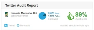 Twitter1.webp