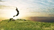 b-happiness.webp
