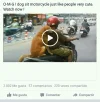 uploadfromtaptalk1450380459297.webp