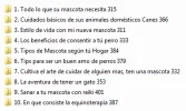 6e722859f9.webp