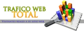 trafico-web-masivo.webp