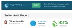 audit.webp