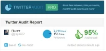 Twitter Audit.webp