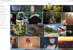 freewallpapers.webp freewallpapers.webp