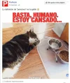 PERFECTO.webp