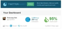 Twitter Audit.webp