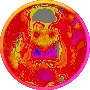 photo.webp
