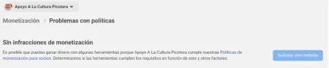 MONETIZACIÓN.webp