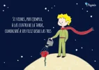 principito-frases-2.webp