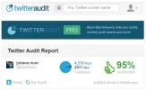 Twitter Audit.webp