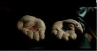 pastillas.webp pastillas.webp