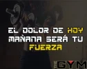 gmy 3.webp gmy 3.webp