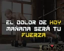 gym 2.webp gym 2.webp