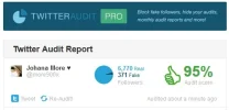 Twitter Audit.webp