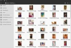 4chan_blur.webp